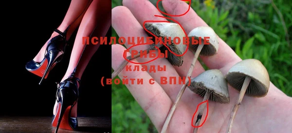 бутират Вяземский