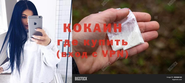PSILOCYBIN Горнозаводск