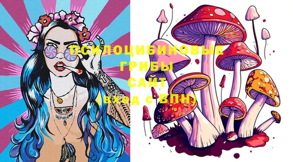 PSILOCYBIN Горнозаводск