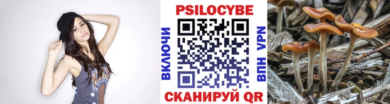 Псилоцибиновые грибы прущие грибы  Сургут 